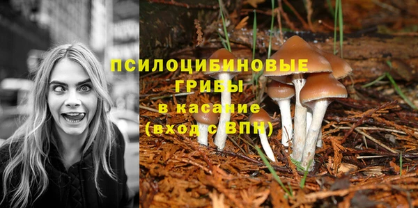 амфетамин Богородск
