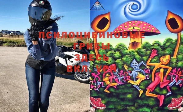 гашик Богданович