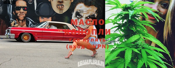 гашик Богданович