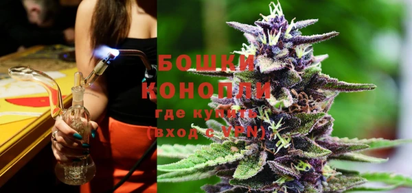гашик Богданович