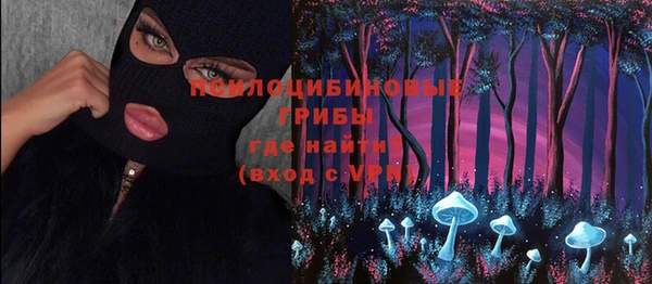 гашик Богданович