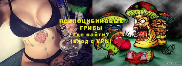 амф Белокуриха