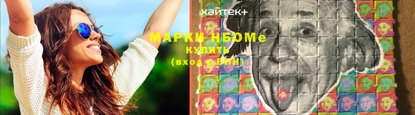 шишки Беломорск